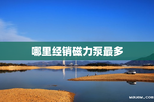 哪里经销磁力泵最多