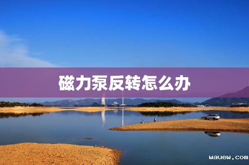 磁力泵反转怎么办