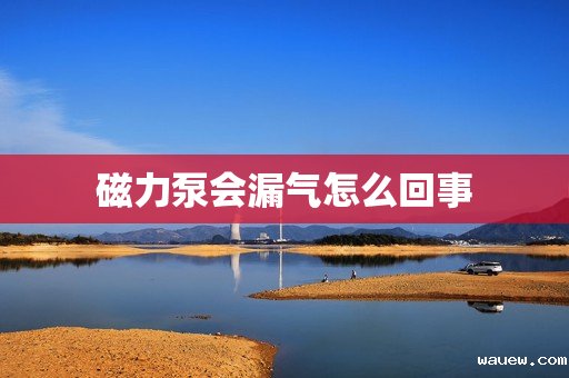 磁力泵会漏气怎么回事