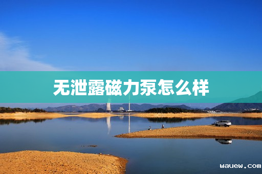 无泄露磁力泵怎么样