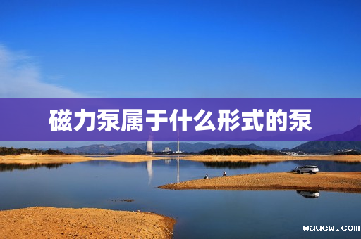 磁力泵属于什么形式的泵