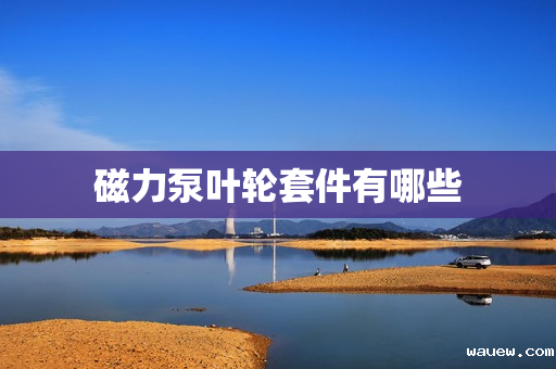 磁力泵叶轮套件有哪些