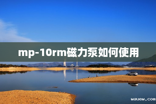 mp-10rm磁力泵如何使用