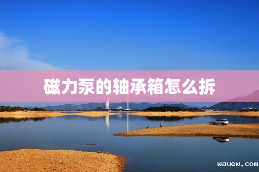 磁力泵的轴承箱怎么拆