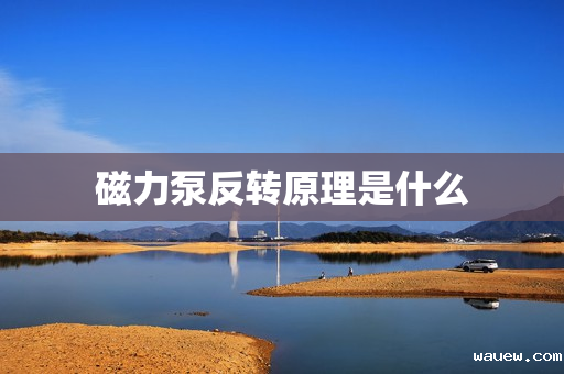 磁力泵反转原理是什么