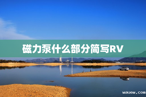 磁力泵什么部分简写RV