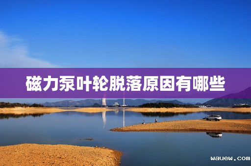 磁力泵叶轮脱落原因有哪些