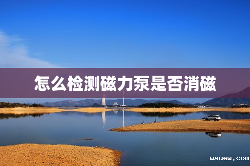 怎么检测磁力泵是否消磁