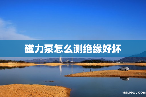 磁力泵怎么测绝缘好坏