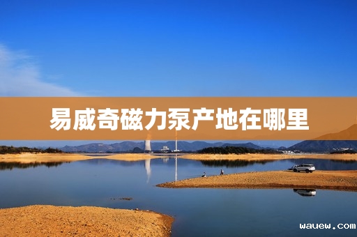 易威奇磁力泵产地在哪里