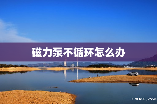 磁力泵不循环怎么办