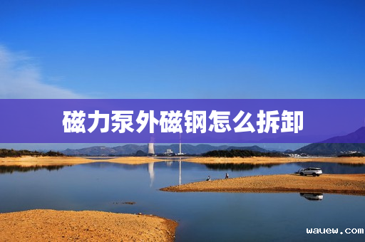 磁力泵外磁钢怎么拆卸