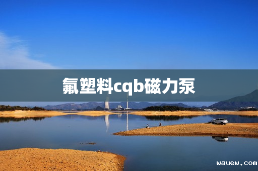 氟塑料cqb磁力泵