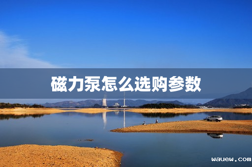 磁力泵怎么选购参数