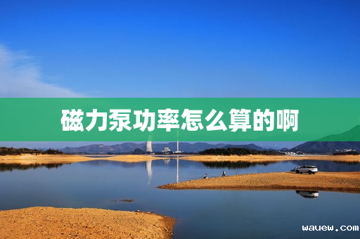 磁力泵功率怎么算的啊