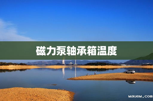 磁力泵轴承箱温度