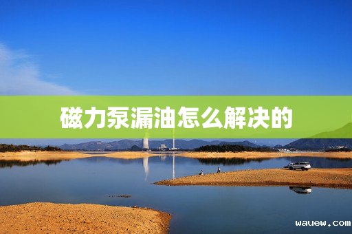 磁力泵漏油怎么解决的