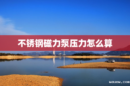 不锈钢磁力泵压力怎么算