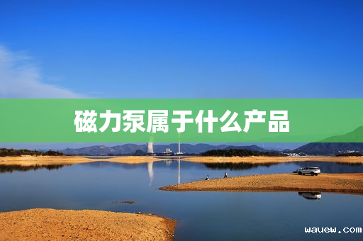 磁力泵属于什么产品