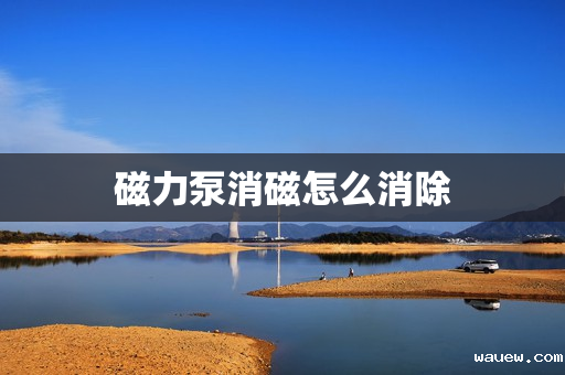 磁力泵消磁怎么消除