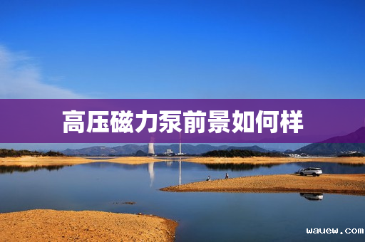 高压磁力泵前景如何样