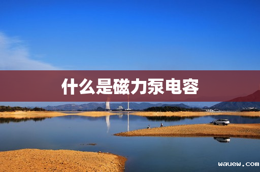 什么是磁力泵电容