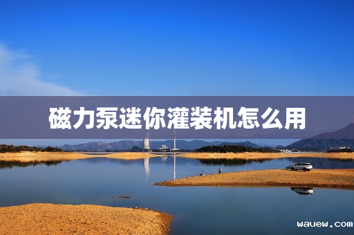 磁力泵迷你灌装机怎么用