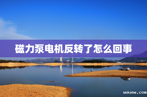 磁力泵电机反转了怎么回事