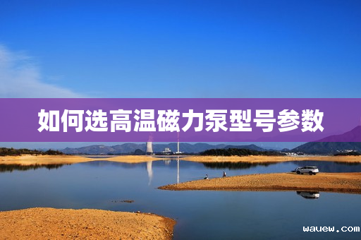 如何选高温磁力泵型号参数