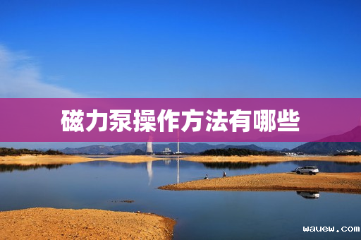 磁力泵操作方法有哪些