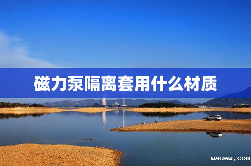 磁力泵隔离套用什么材质