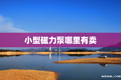 小型磁力泵哪里有卖