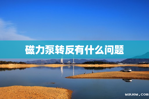 磁力泵转反有什么问题