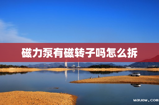 磁力泵有磁转子吗怎么拆