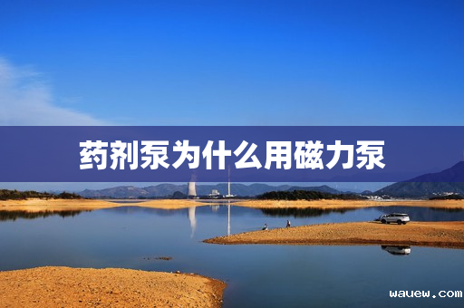 药剂泵为什么用磁力泵