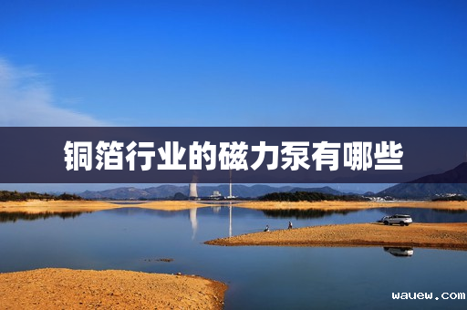 铜箔行业的磁力泵有哪些