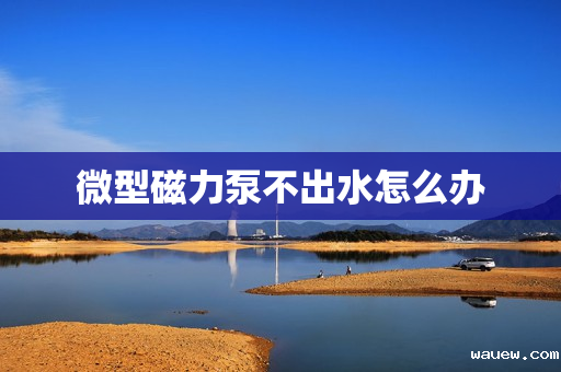 微型磁力泵不出水怎么办
