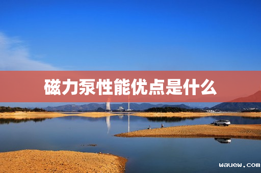 磁力泵性能优点是什么