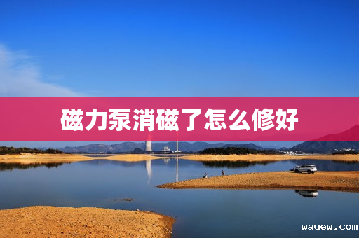 磁力泵消磁了怎么修好