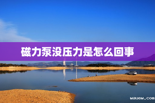 磁力泵没压力是怎么回事