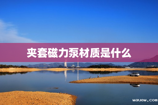 夹套磁力泵材质是什么