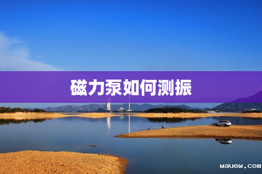 磁力泵如何测振