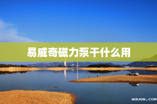 易威奇磁力泵干什么用