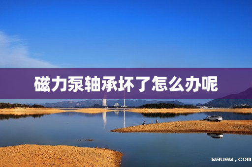 磁力泵轴承坏了怎么办呢