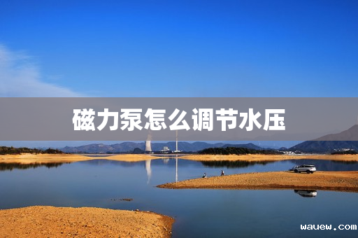 磁力泵怎么调节水压