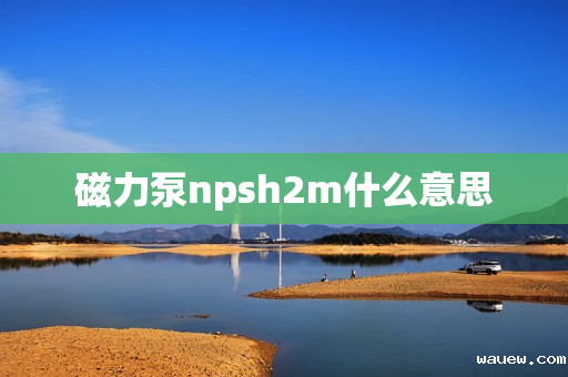 磁力泵npsh2m什么意思