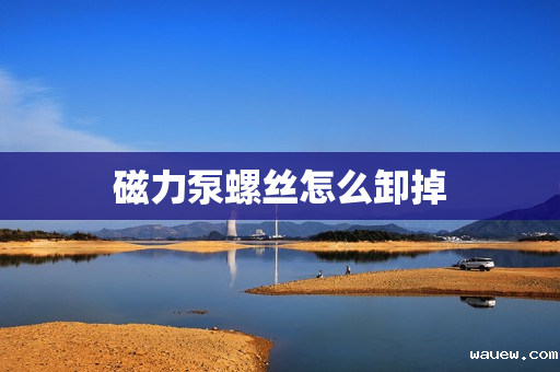 磁力泵螺丝怎么卸掉