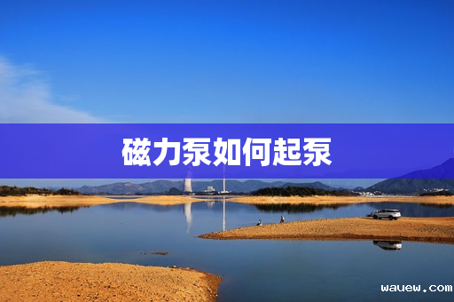 磁力泵如何起泵