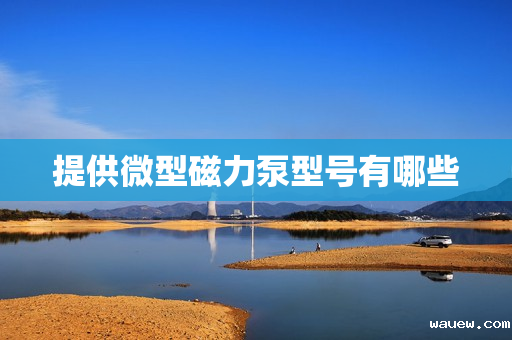 提供微型磁力泵型号有哪些