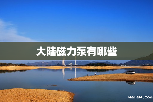 大陆磁力泵有哪些